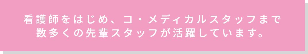 看護師をはじめ、コメディカルスタッフまで、数多くの先輩スタッフが活躍しています。